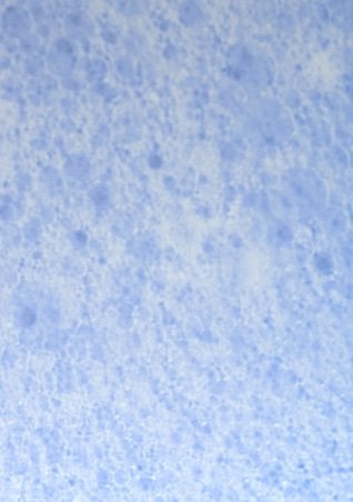 https://www.laroche-posay.com.uy/-/media/project/loreal/brand-sites/lrp/america/latam/oncology/during-hairloss/lrp-oncology-2021-sitecore-during-during_hair_loss-flipcard6.jpg